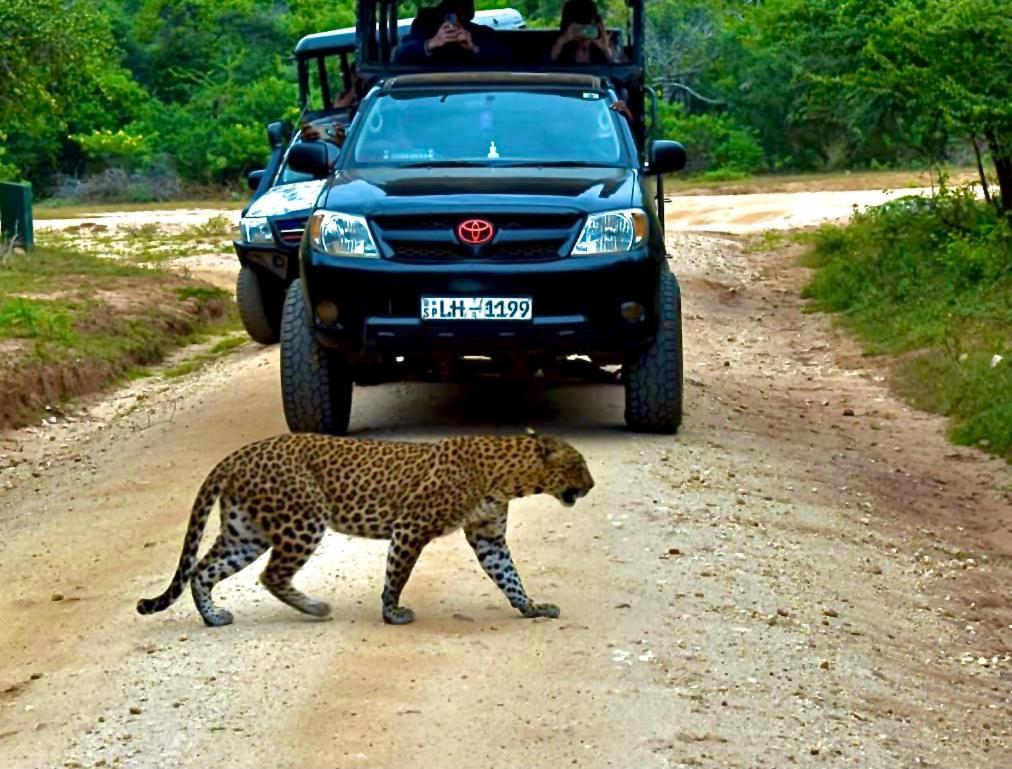 Yala Safari Village Maha Akurugoda Esterno foto